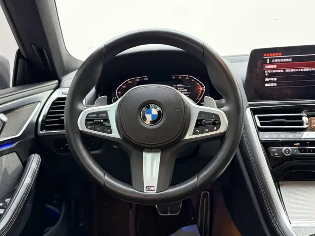 BMW 8 Series — Фото автомобиля 15
