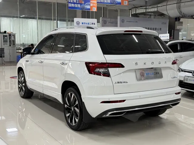 Skoda Karoq — Фото автомобиля 6