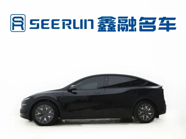Tesla Model Y L — Фото автомобиля 10