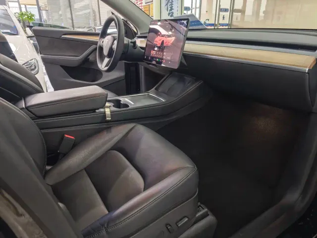 Tesla Model Y — Фото автомобиля 10