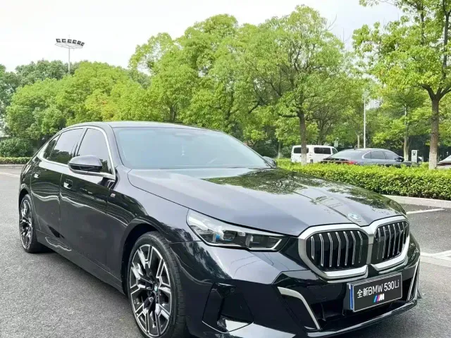 BMW 5 Series — Фото автомобиля 2