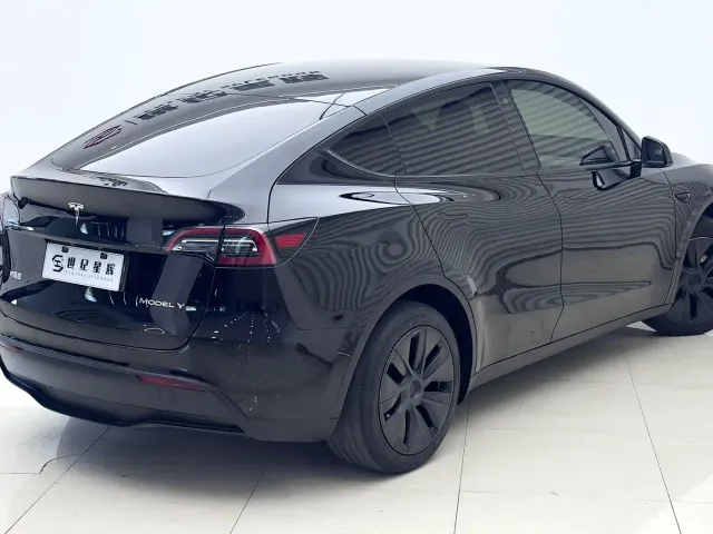Tesla Model Y — Фото автомобиля 9