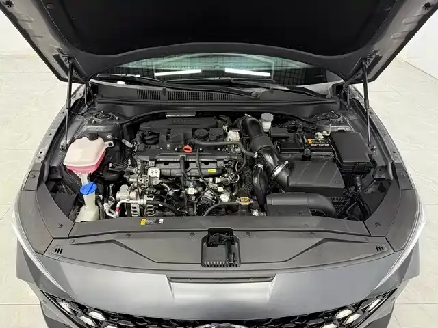 Hyundai Fista — Фото автомобиля 10