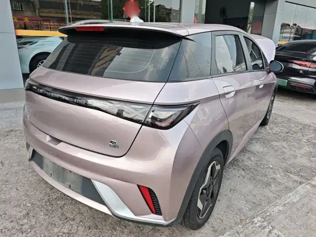BYD Dolphin — Фото автомобиля 6