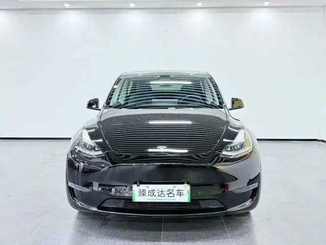 Tesla Model Y — Фото автомобиля 2