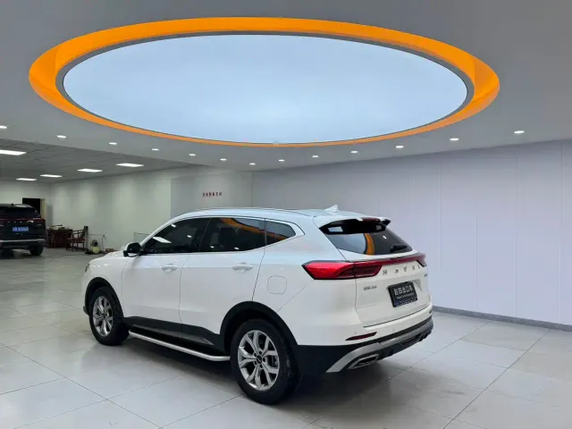 Haval Haval H6 2021 Model 1.5T Automatic Champion Edition — Фото автомобиля 4