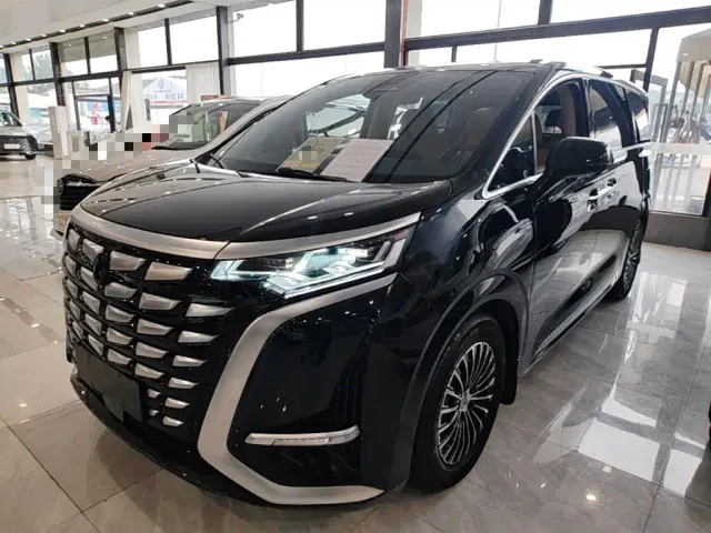 Фотография автомобиля — Denza D9