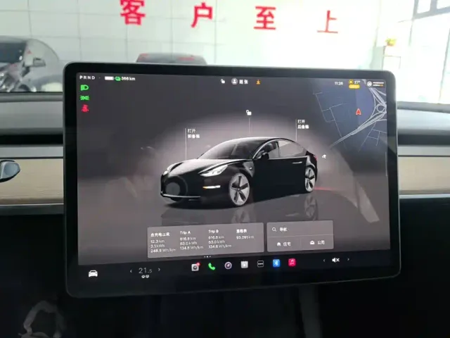Tesla Model 3 — Фото автомобиля 12