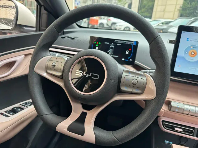 BYD Seagull — Фото автомобиля 10