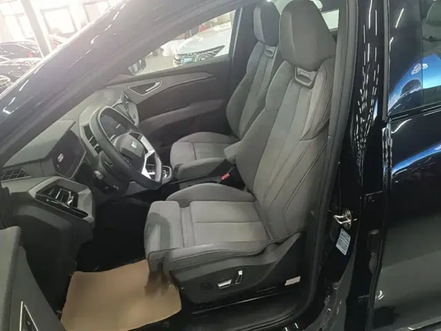 Audi Q5 e-tron — Фото автомобиля 14