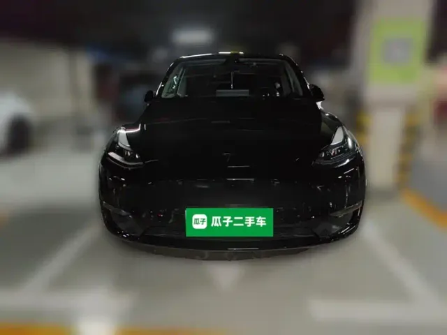 Tesla Model Y — Фото автомобиля 2