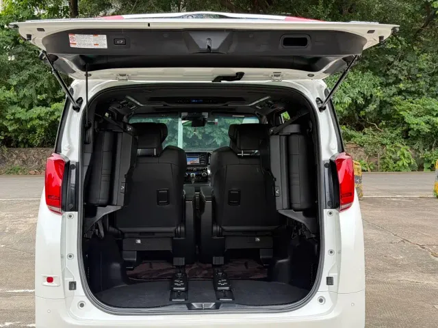 Toyota Alphard — Фото автомобиля 19