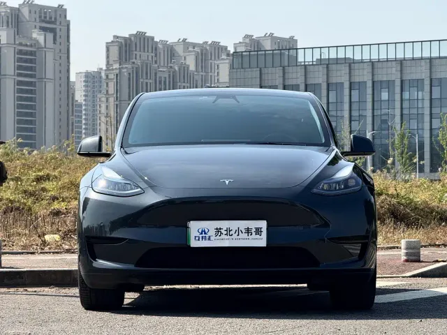 Tesla Model Y — Фото автомобиля 2