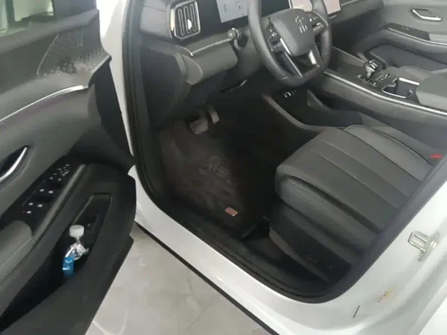 BYD Song Pro — Фото автомобиля 15