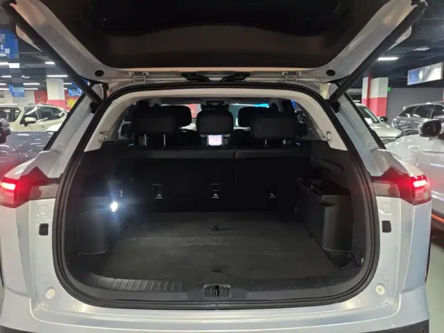 Chery Tansuo 06 — Фото автомобиля 14