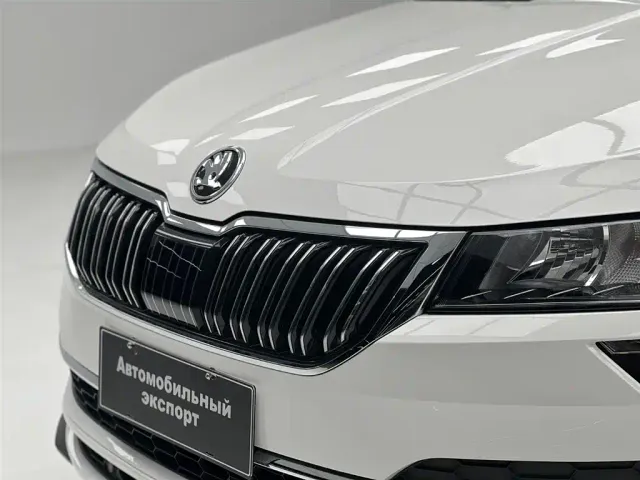 Skoda Karoq — Фото автомобиля 5