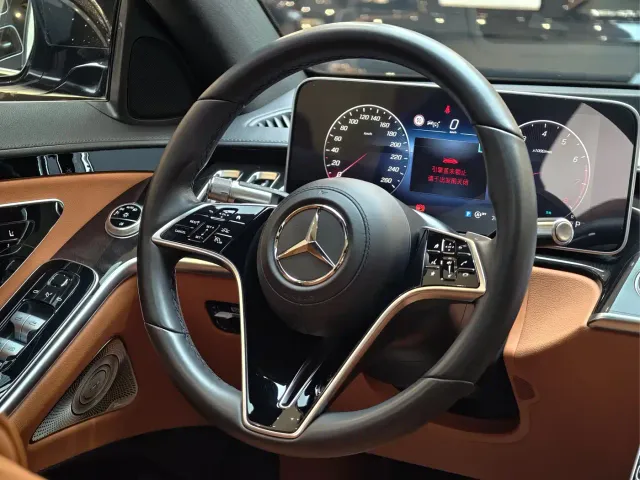 Mercedes-Benz S-Class — Фото автомобиля 23