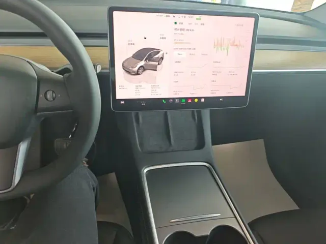Tesla Model Y — Фото автомобиля 12