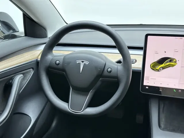 Tesla Model 3 2021 Facelift Standard Range RWD Upgrade 3D1 — Фото автомобиля 19