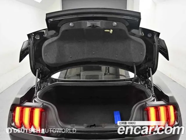 Ford Mustang — Фото автомобиля 19