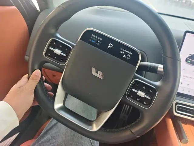 Li Auto L9 — Фото автомобиля 15