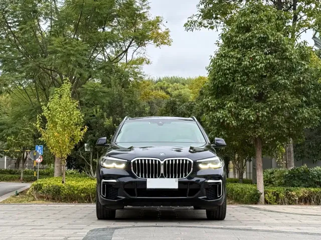 BMW X5 — Фото автомобиля 2