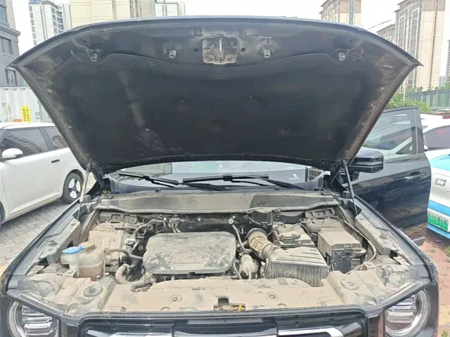 Haval Big Dog — Фото автомобиля 19