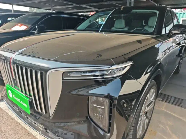 Hongqi E-HS9 — Фото автомобиля 23