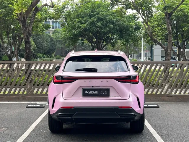 Lexus NX — Фото автомобиля 19