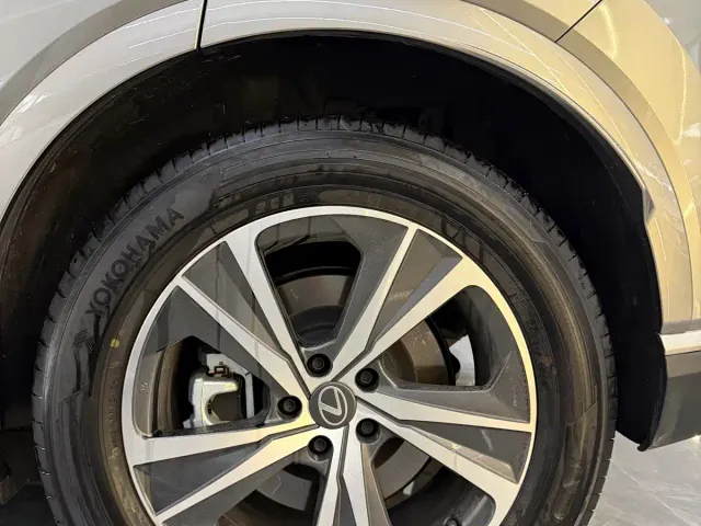 Lexus RX — Фото автомобиля 21
