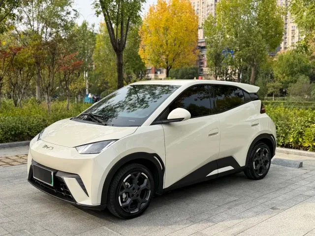 Фотография автомобиля — BYD Seagull