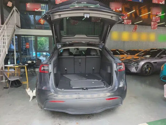 Tesla Model Y — Фото автомобиля 18
