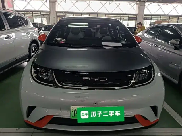 BYD Dolphin — Фото автомобиля 2