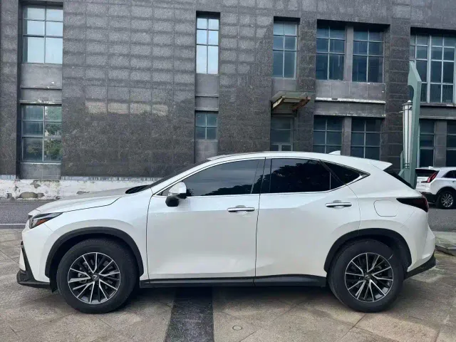 Lexus NX — Фото автомобиля 2