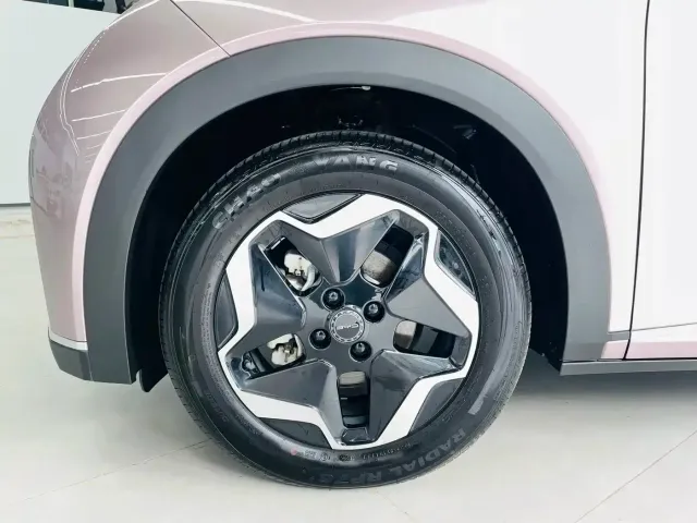 BYD Dolphin — Фото автомобиля 3