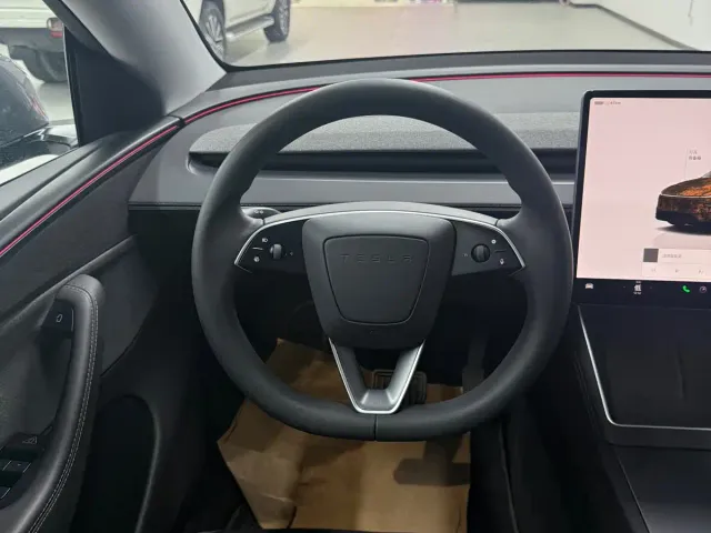 Tesla Model Y — Фото автомобиля 10