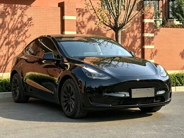 Tesla Model Y — Фото автомобиля 3