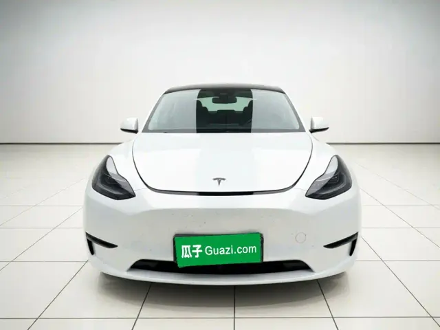 Tesla Model Y — Фото автомобиля 2