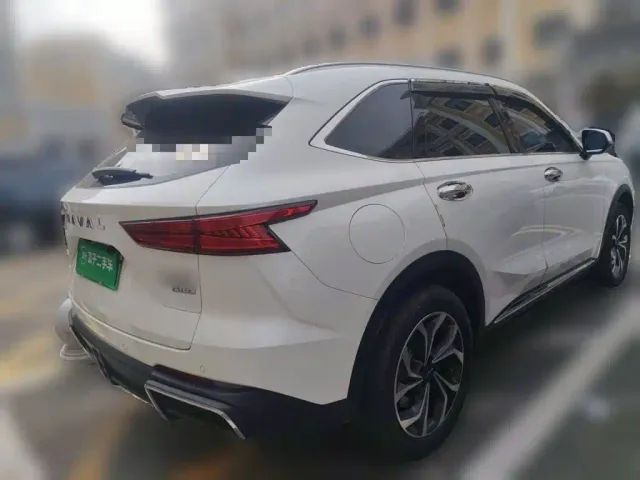 Haval Xiaolong MAX — Фото автомобиля 4