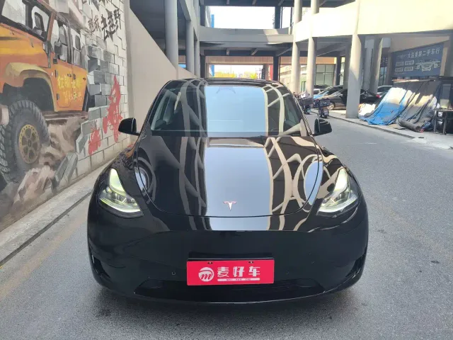 Tesla Model Y — Фото автомобиля 2
