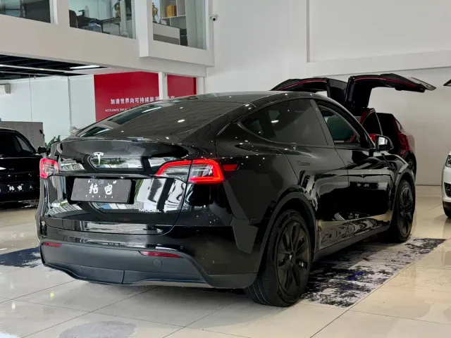 Tesla Model Y — Фото автомобиля 15