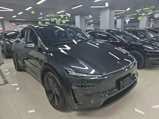 Tesla Model Y — Фото автомобиля 3