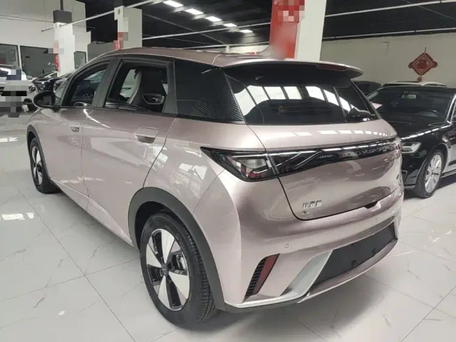 BYD Dolphin — Фото автомобиля 4