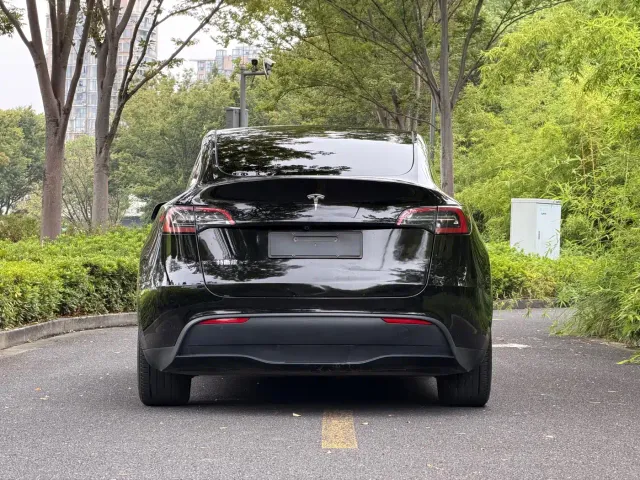Tesla Model Y — Фото автомобиля 5