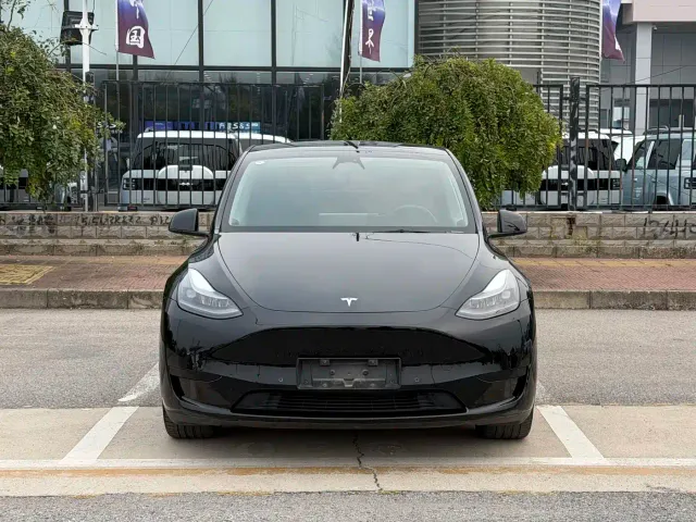 Tesla Model Y — Фото автомобиля 2