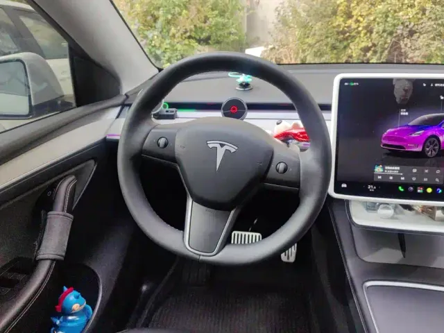 Tesla Model Y — Фото автомобиля 15