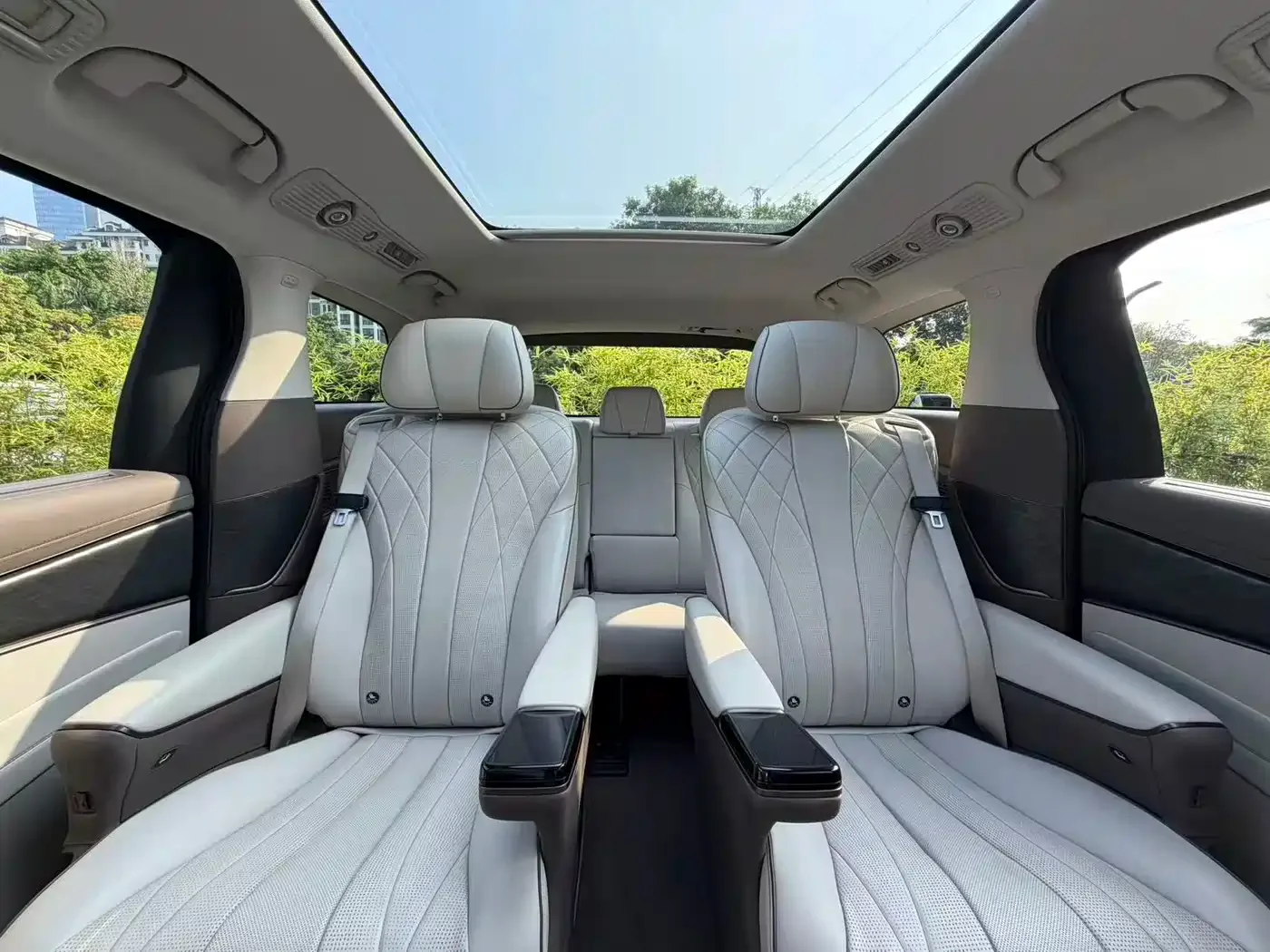 Denza Denza D9 2022 DM-i 1040 Premium — Фото автомобиля 9
