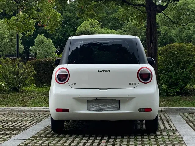 Changan Lumin — Фото автомобиля 16
