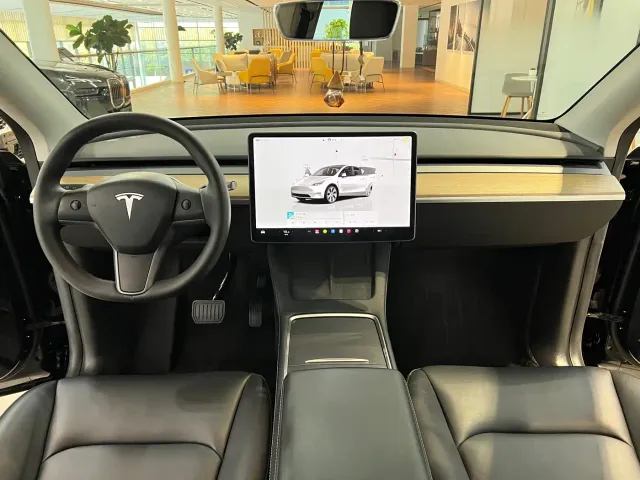 Tesla Model Y — Фото автомобиля 14