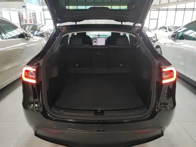 Tesla Model Y — Фото автомобиля 18